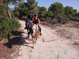 ΙΠΠΙΚΟΣ ΟΜΙΛΟΣ ΣΧΟΛΗ ΙΠΠΑΣΙΑΣ ΚΤΗΜΑ ΙΠΠΟΛΥΤΗ ΣΙΘΩΝΙΑ ΧΑΛΚΙΔΙΚΗ ΜΥΛΩΝΑΣ ΚΩΝΣΤΑΝΤΙΝΟΣ