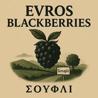 ΠΑΡΑΓΩΓΗ ΕΜΠΟΡΙΑ ΒΑΤΟΜΟΥΡΩΝ ΒΑΤΟΜΟΥΡΑ EVROS BLACK BERRIES ΣΟΥΦΛΙ ΕΒΡΟΣ ΑΛΕΞΑΝΔΡΟΥΠΟΛΗ