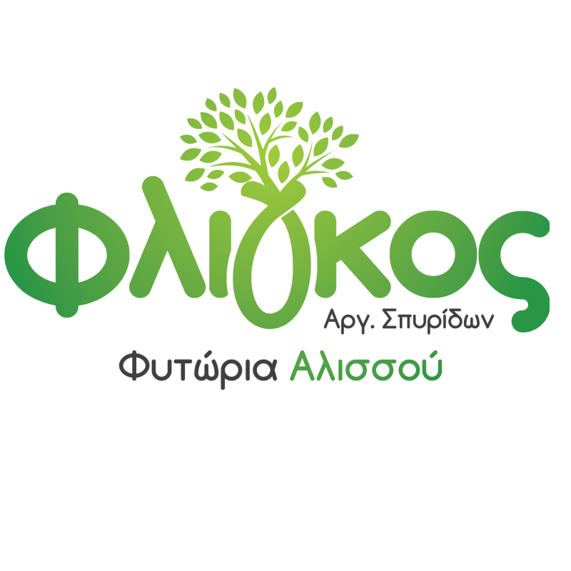 ΦΥΤΩΡΙΑ ΑΛΙΣΣΟΥ ΠΑΤΡΑ ΑΧΑΪΑ ΦΛΙΓΚΟΣ ΑΡΓΥΡΙΟΣ