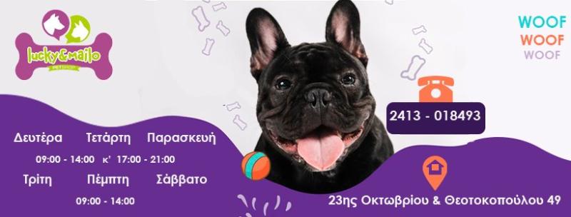 PET SHOP LUCKY AND MAILO ΛΑΡΙΣΑ ΚΟΥΡΤΙΔΗ ΑΙΚΑΤΕΡΙΝΗ