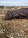 ΕΜΠΟΡΙΟ ΣΤΡΟΓΓΥΛΗΣ ΞΥΛΕΙΑΣ ΣΤΥΛΟΙ ΔΕΗ GEMA WOOD ΓΡΕΒΕΝΑ ΠΑΠΑΔΗΜΗΤΡΙΟΥ ΔΗΜΗΤΡΙΟΣ ΜΟΝ ΙΚΕ