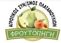 ΦΡΟΥΤΟΠΗΓΗ