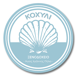 ΞΕΝΟΔΟΧΕΙΟ KOCHILI HOTEL ΑΓΙΟΣ ΙΩΑΝΝΗΣ ΠΗΛΙΟΥ ΜΑΓΝΗΣΙΑΣ